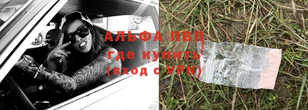 амф Арсеньев