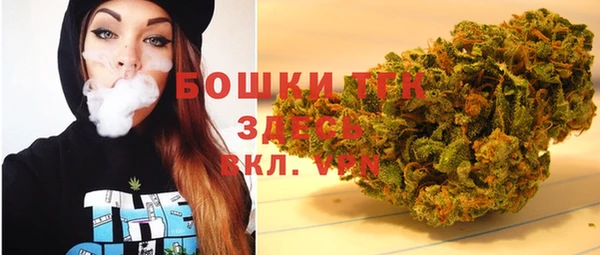 PSILOCYBIN Балахна